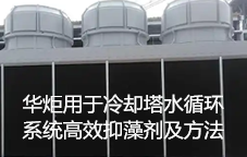 一种用于冷却塔水循环系统高效抑藻剂及方法