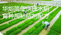 简便快捷水稻育种用粘结剂配方